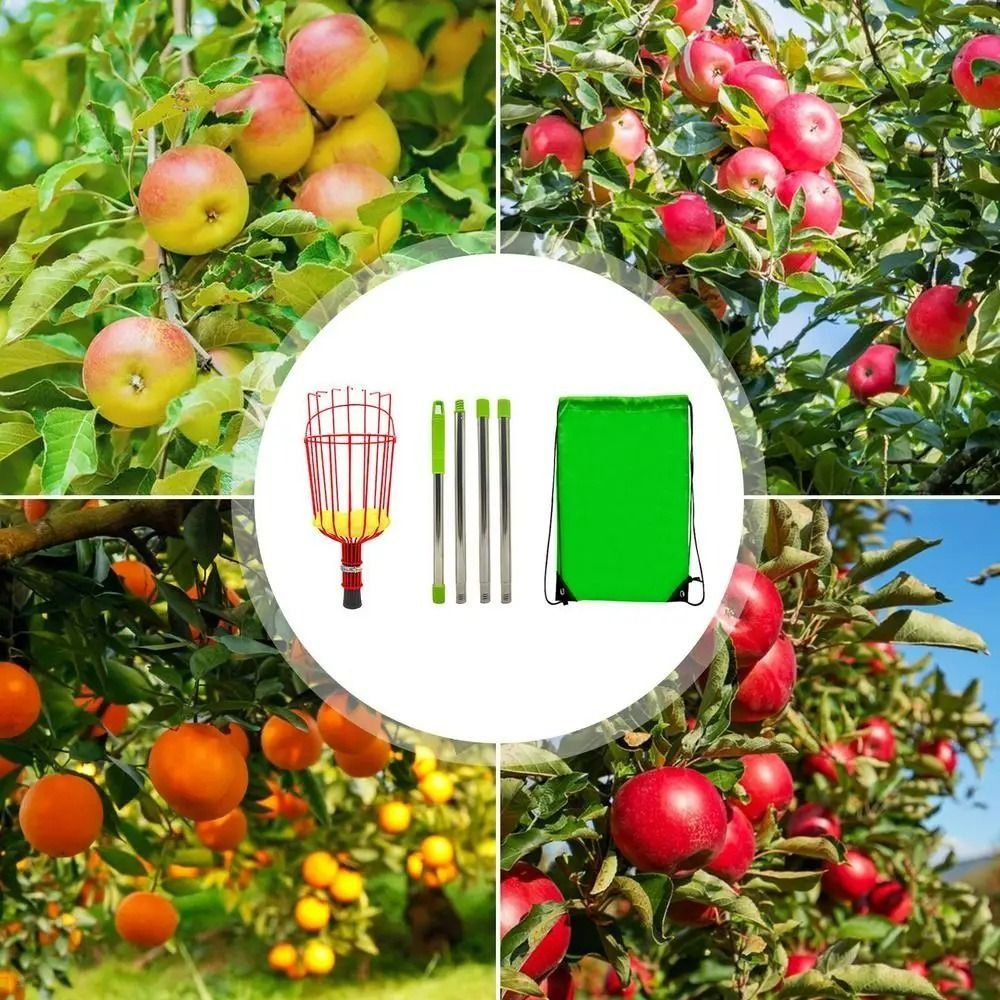Fruit Picker Basket Telescopic Pole - ไม้เก็บผลไม้พร้อมตะกร้า ประหยัดแรง สำหรับเก็บผลไม้ที่สูง แบบยืดหดได้ ถอดประกอบได้