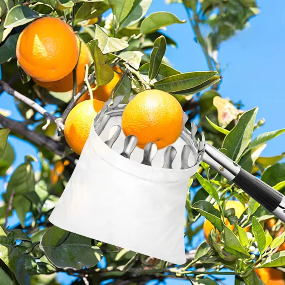 Fruit Picker Basket Telescopic Pole - เครื่องเก็บผลไม้สแตนเลสแบบยืดหดได้สำหรับต้นไม้สูง พร้อมตะกร้าเก็บผลไม้ ด้ามจับยืดหดได้ ใช้เก็บอะโวคาโด