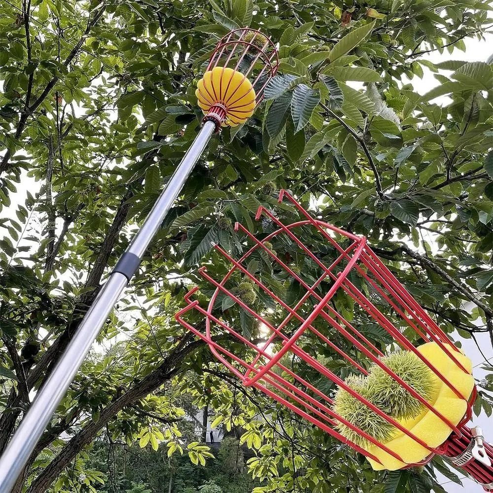 Fruit Picker Basket Telescopic Pole - อุปกรณ์เก็บผลไม้แบบมีตะกร้า ด้ามจับยืดหดได้ ประหยัดแรง ทำจากโลหะ สำหรับเก็บผลไม้ในที่สูง อุปกรณ์เก็บผลไม้ในสวน