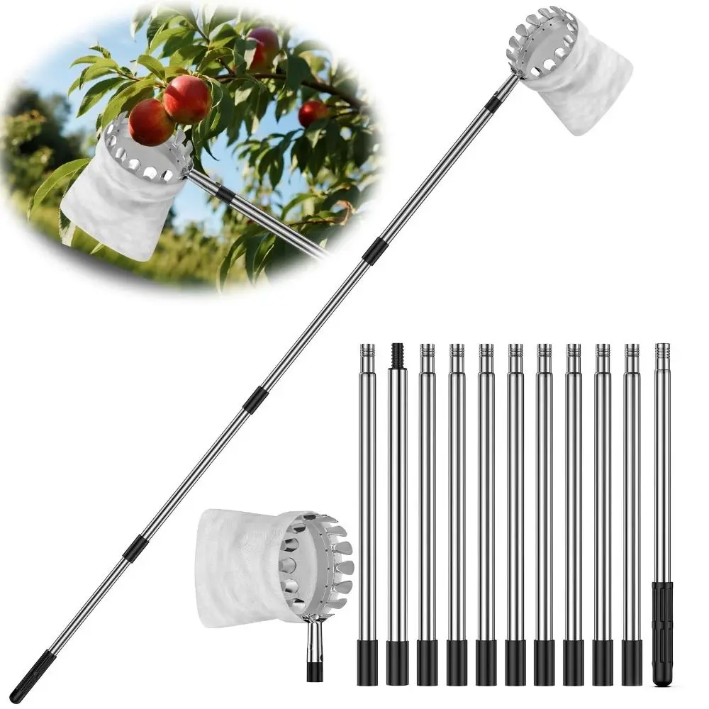 Fruit Picker Basket Telescopic Pole - เครื่องเก็บผลไม้สแตนเลสสำหรับต้นไม้สูง พร้อมตะกร้า อุปกรณ์ทำสวน ไม้เก็บผลไม้แบบยืดหดได้ ไม้จับผลไม้สำหรับต้นไม้สูง
