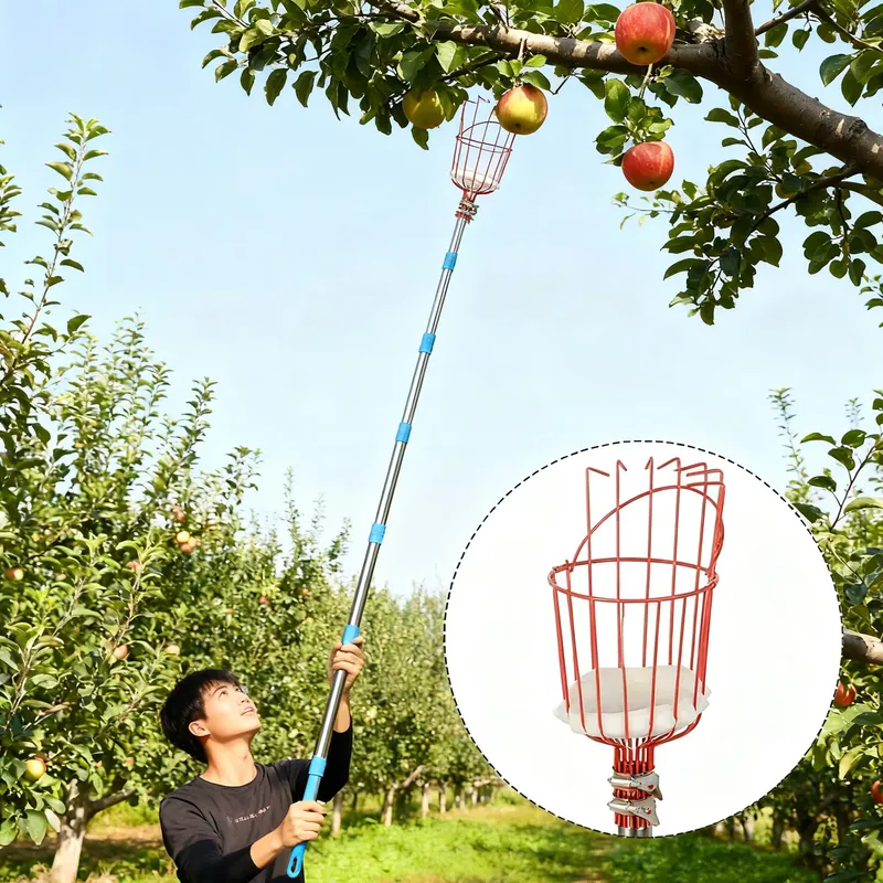 Fruit Picker Basket Telescopic Pole - สำหรับ Winslow & Ross ตะกร้าเก็บผลไม้คุณภาพสูงพร้อมด้ามจับสแตนเลสแบบยืดหดได้ อุปกรณ์เก็บผลไม้ในที่สูง