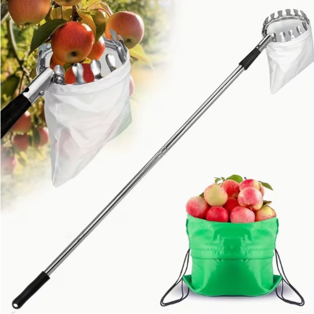 เครื่องเก็บผลไม้สแตนเลสแบบยืดห - Fruit Picker Basket Telescopic Pole บทวิจารณ์และราคา