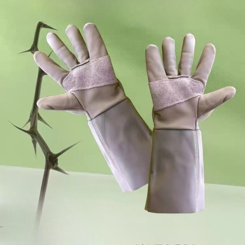 ถุงมือทำสวนหนังวัวแท้ระดับมืออ - Gardening Gloves Thorn Proof Leather บทวิจารณ์และราคา