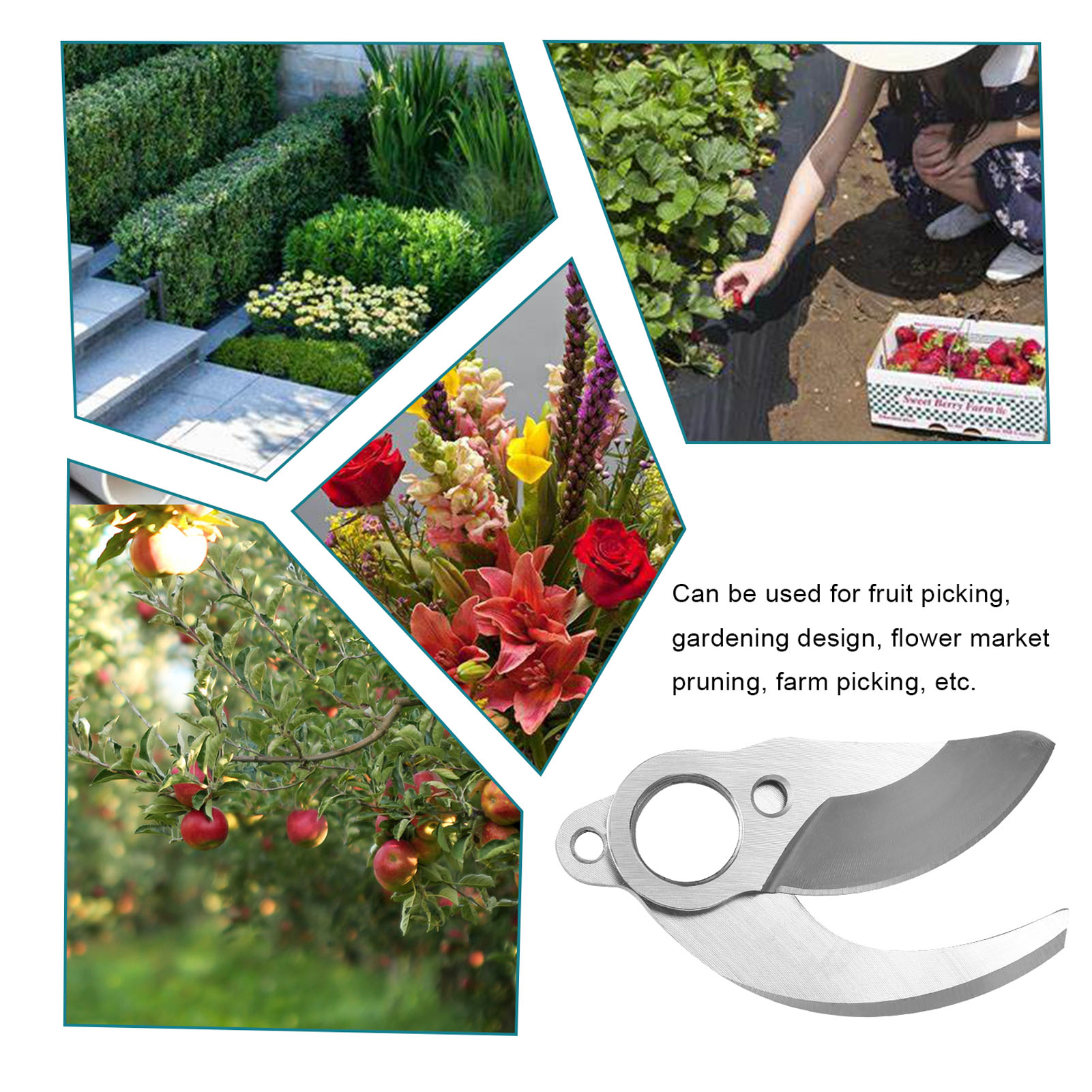 ใบมีดตัดแต่งกิ่งไฟฟ้าไร้สายขนา - Cordless Electric Pruning Shears 30Mm บทวิจารณ์และราคา