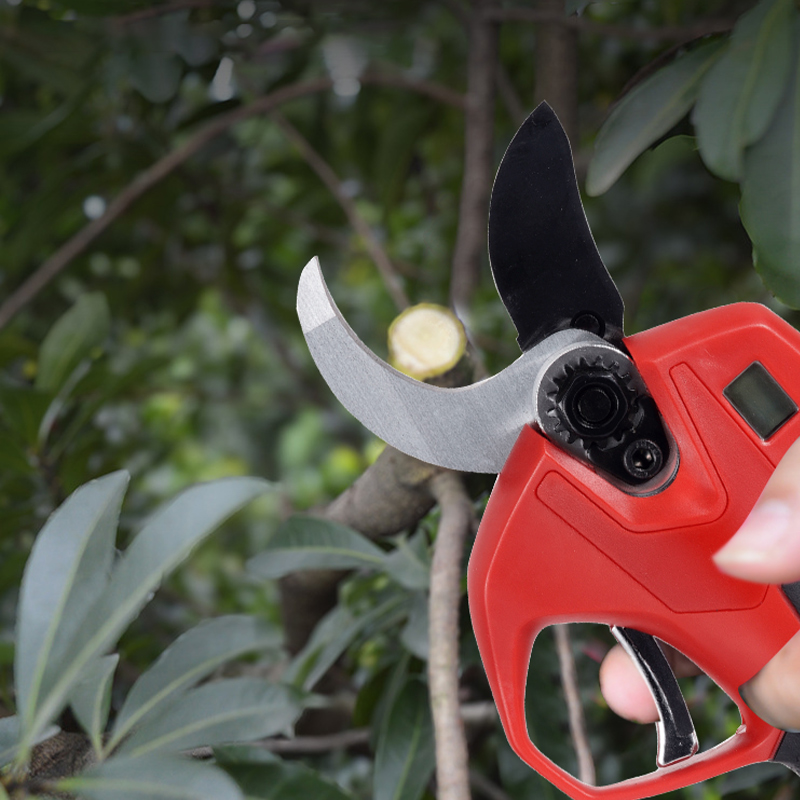 กรรไกรตัดแต่งกิ่งไร้สายไฟฟ้าสำ - Electric Pruner With Extension Pole บทวิจารณ์และราคา