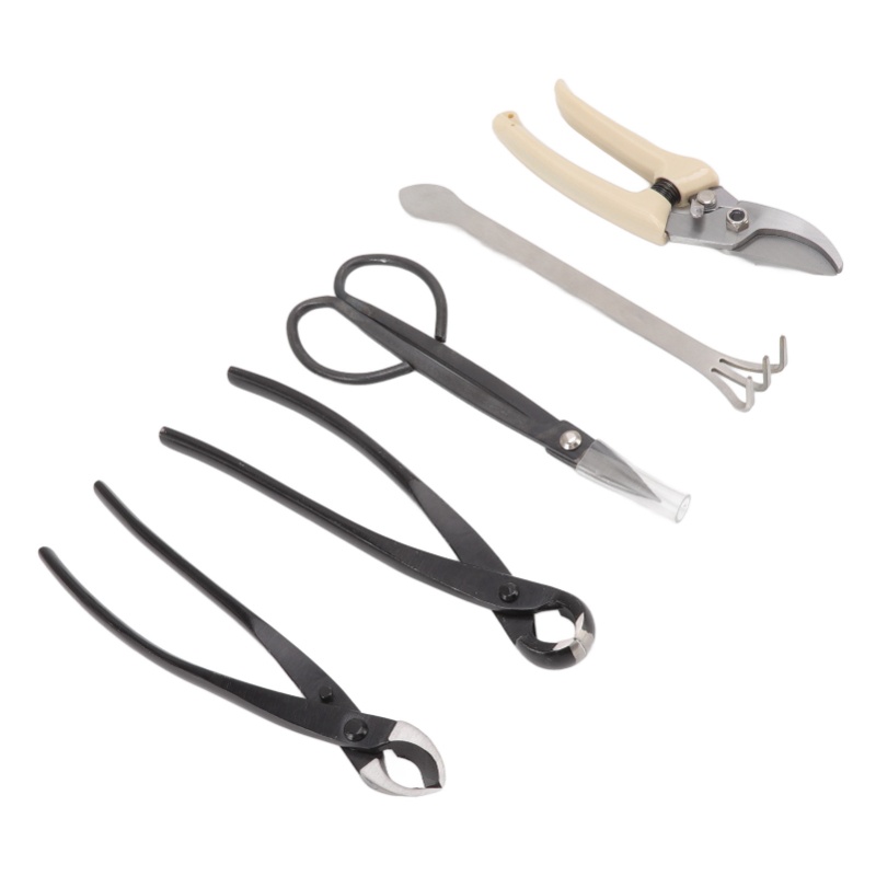 ชุดเครื่องมือบอนไซ 5 ชิ้น ทำจา - Bonsai Tool Set Stainless Carbon Steel บทวิจารณ์และราคา