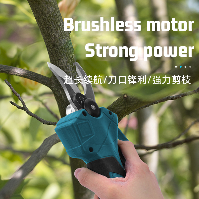 เลื่อยตัดกิ่งไฟฟ้าไร้สายแบบยืด - Electric Pruner With Extension Pole บทวิจารณ์และราคา