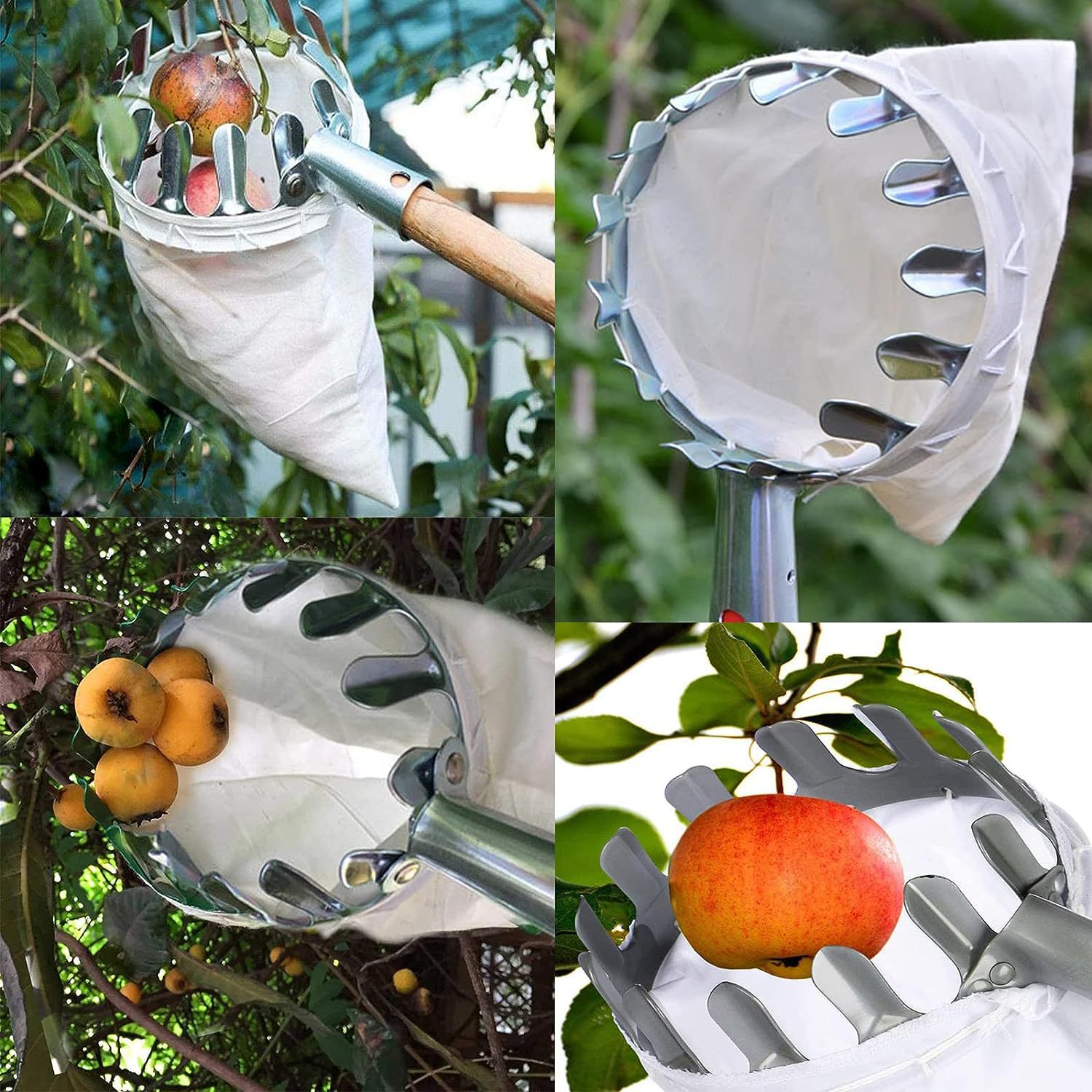 หัวเก็บผลไม้แบบมือถือพร้อมด้าม - Fruit Picker Basket Telescopic Pole บทวิจารณ์และราคา