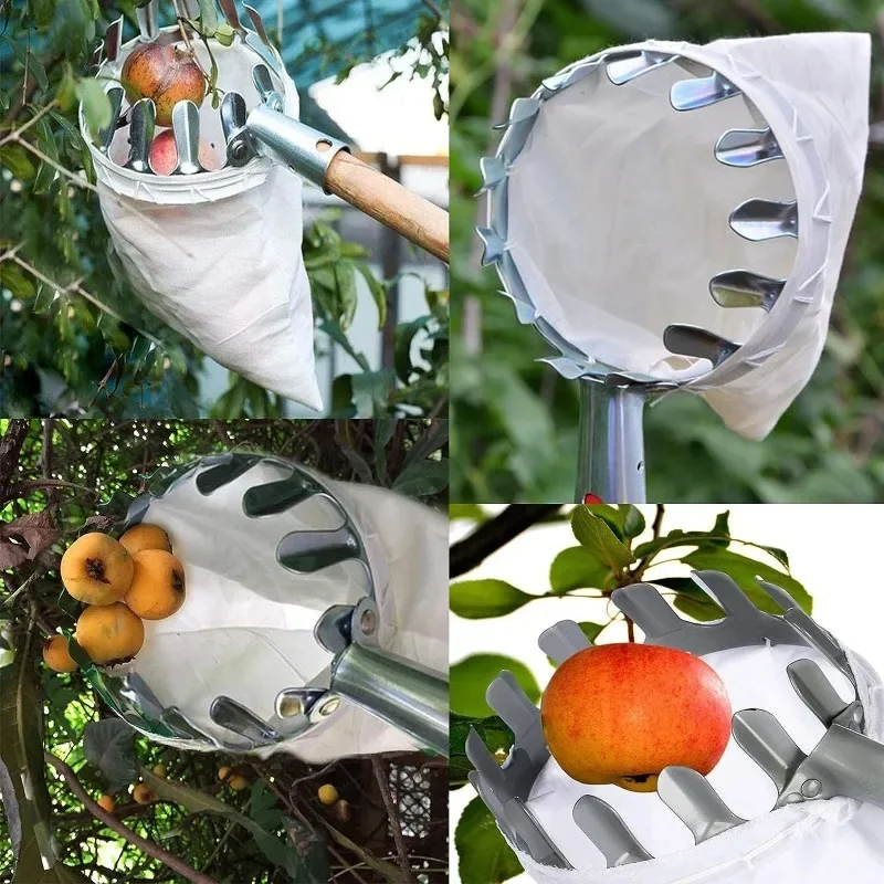 เครื่องเก็บผลไม้สำหรับที่สูงพร - Fruit Picker Basket Telescopic Pole บทวิจารณ์และราคา