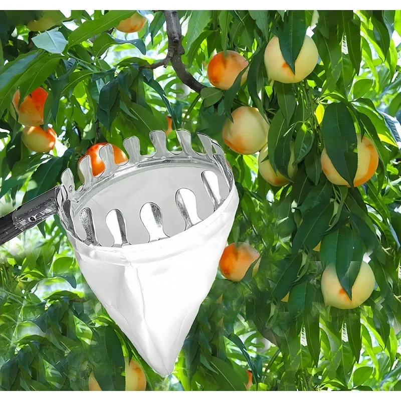 เครื่องเก็บผลไม้สำหรับที่สูงพร - Fruit Picker Basket Telescopic Pole บทวิจารณ์และราคา
