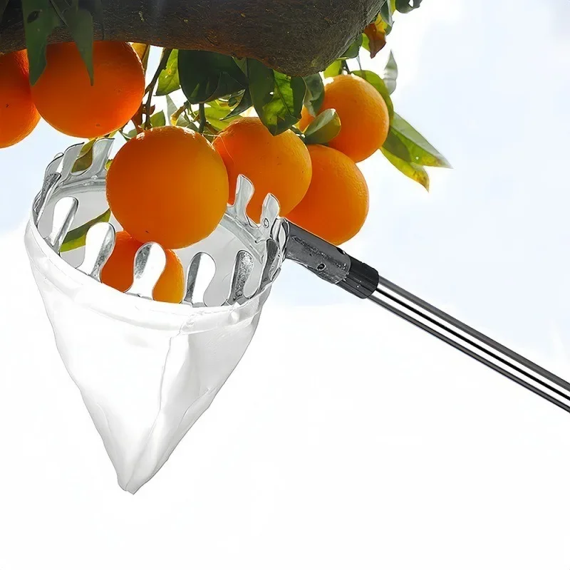 เครื่องเก็บผลไม้สำหรับที่สูงพร - Fruit Picker Basket Telescopic Pole บทวิจารณ์และราคา
