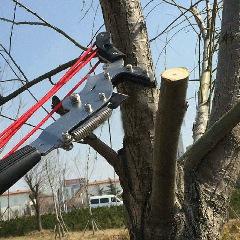 กรรไกรตัดกิ่งไม้แบบยืดหดได้ Ex - Electric Pruner With Extension Pole บทวิจารณ์และราคา