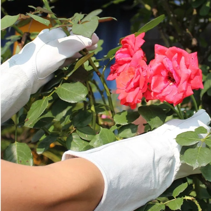 ถุงมือทำสวนกันหนาม กันน้ำ สำหร - Gardening Gloves Thorn Proof Leather บทวิจารณ์และราคา