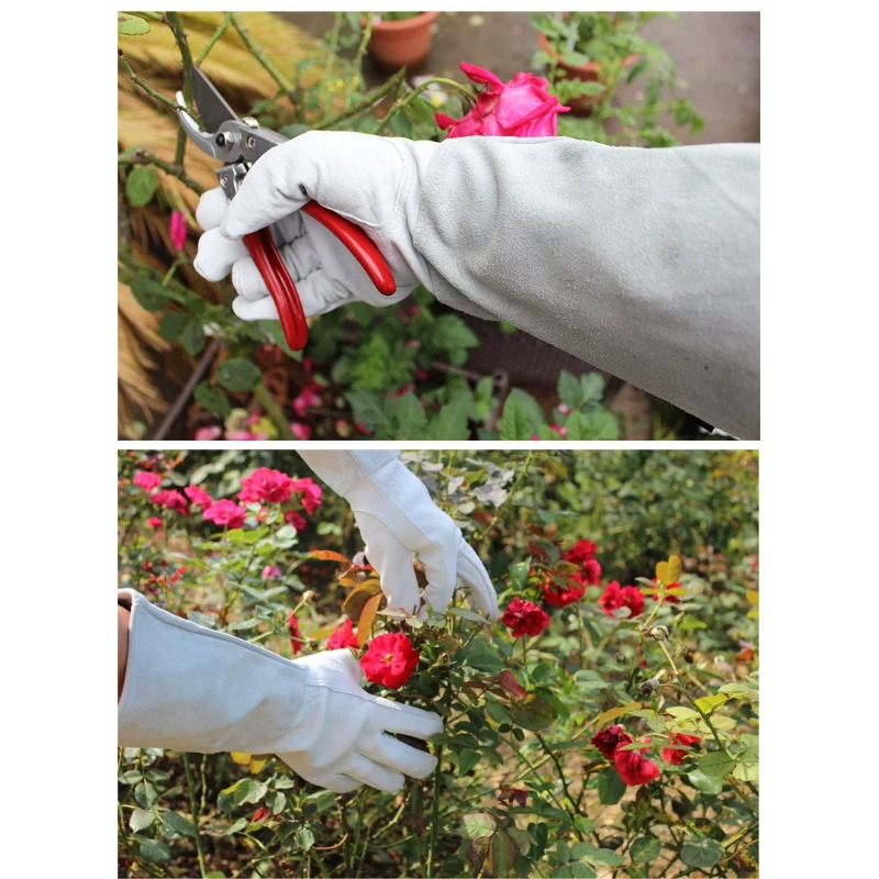 ถุงมือทำสวนกันหนาม กันน้ำ สำหร - Gardening Gloves Thorn Proof Leather บทวิจารณ์และราคา