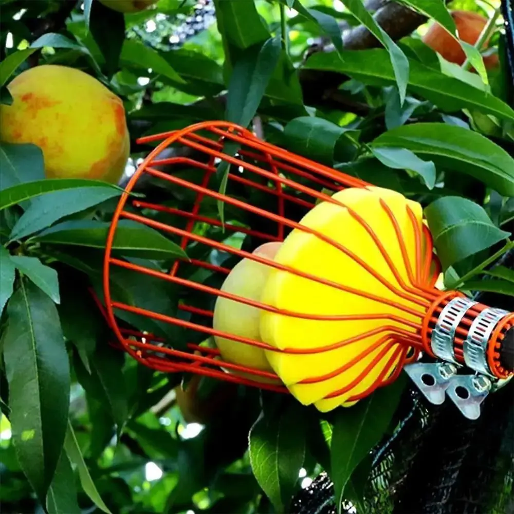 ไม้เก็บผลไม้แบบมีตะกร้า  แบบยื - Fruit Picker Basket Telescopic Pole บทวิจารณ์และราคา