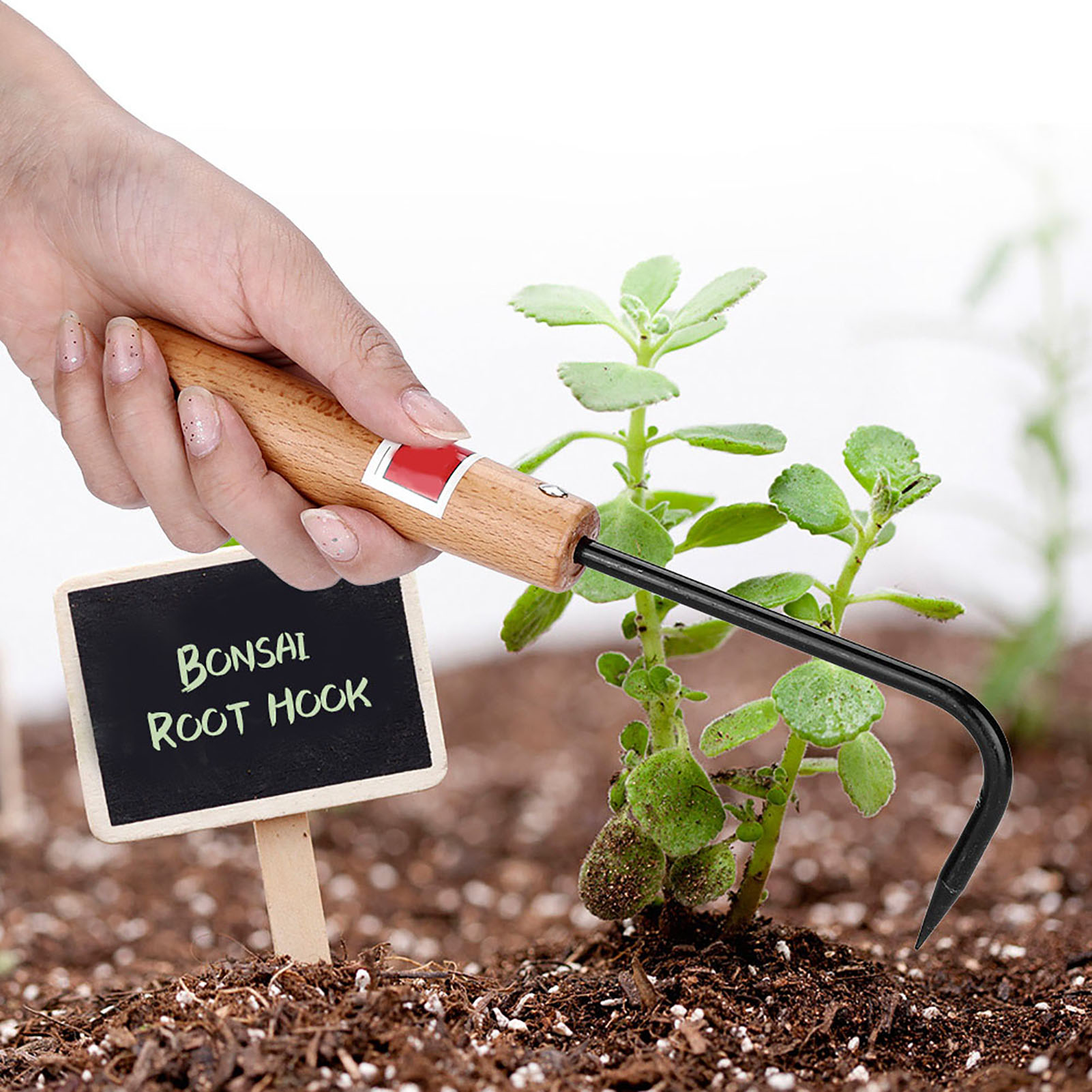 ตะขอเกี่ยวรากบอนไซ แบบฟันเดี่ย - Root Hook Bonsai Repotting Rake บทวิจารณ์และราคา
