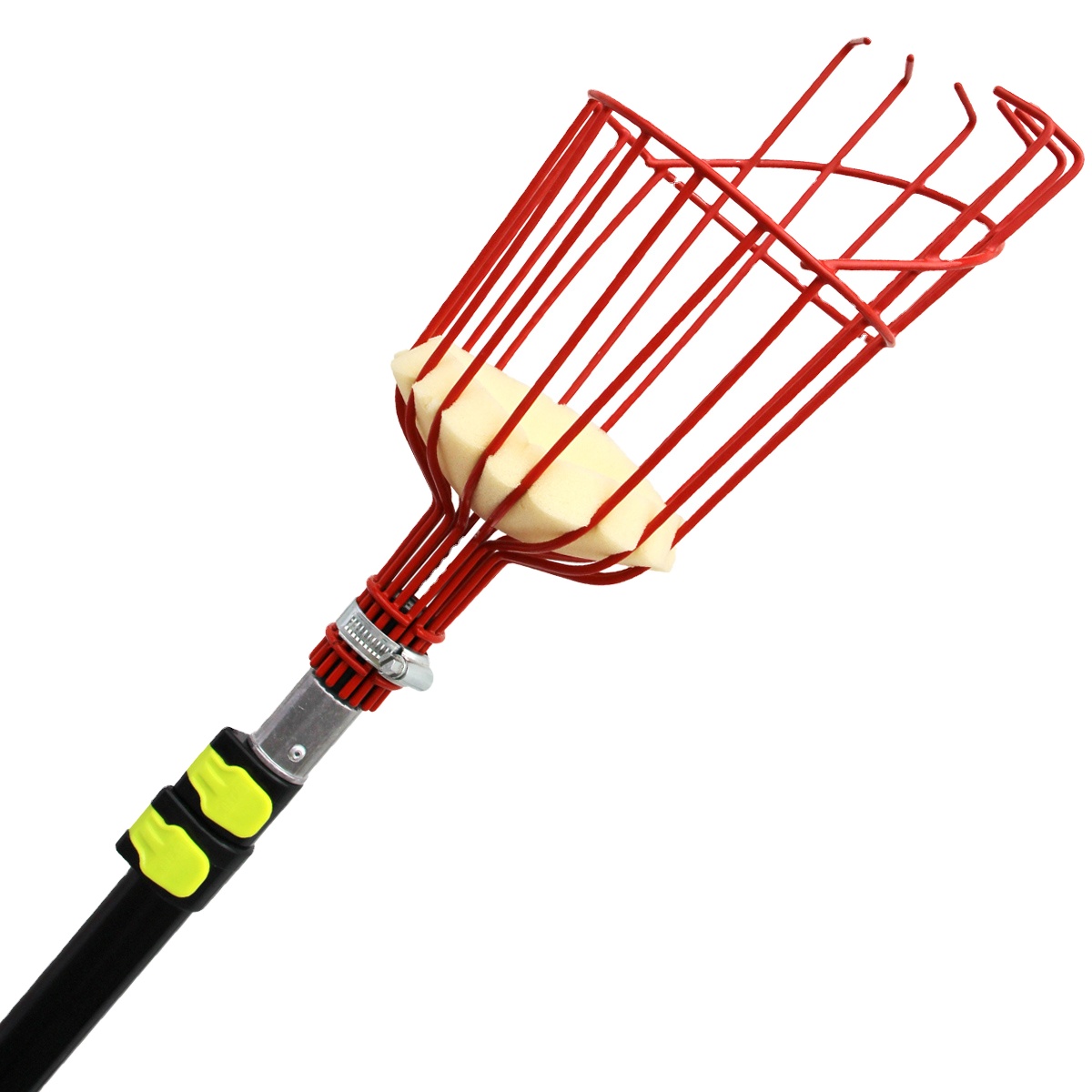 ตะกร้าเก็บผลไม้แบบปรับได้ 3 ท่ - Fruit Picker Basket Telescopic Pole บทวิจารณ์และราคา