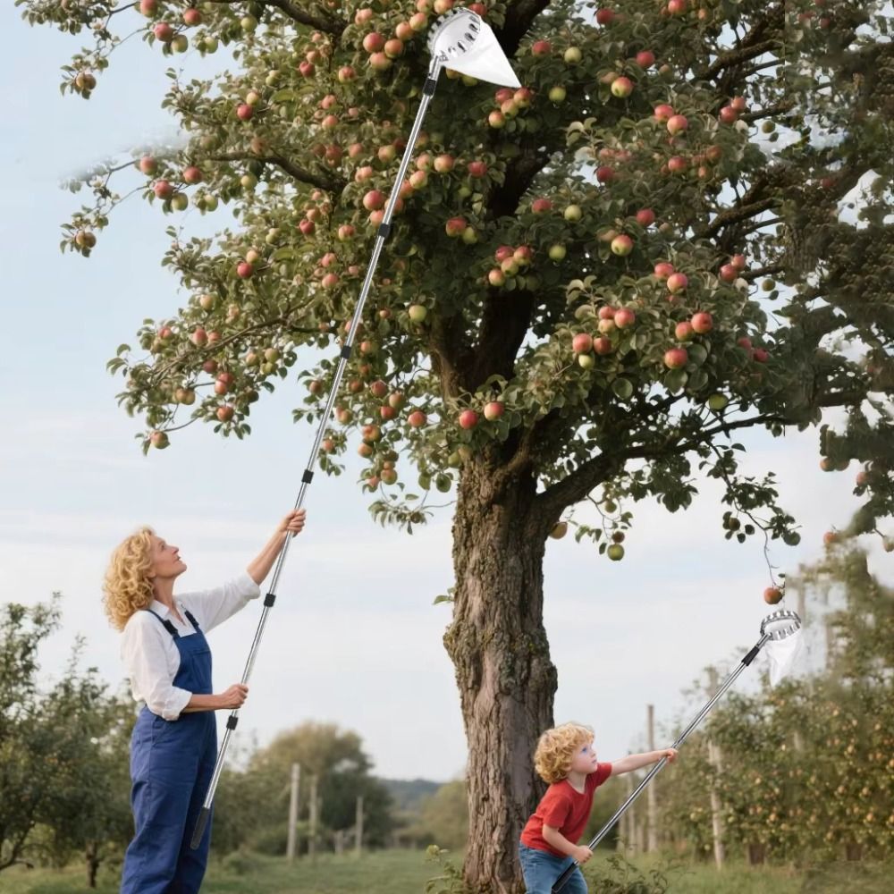 เครื่องเก็บผลไม้สแตนเลสแบบยืดห - Fruit Picker Basket Telescopic Pole บทวิจารณ์และราคา