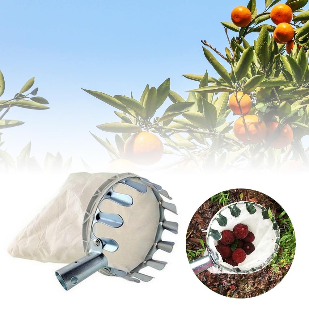 เครื่องเก็บผลไม้สแตนเลสแบบยืดห - Fruit Picker Basket Telescopic Pole บทวิจารณ์และราคา