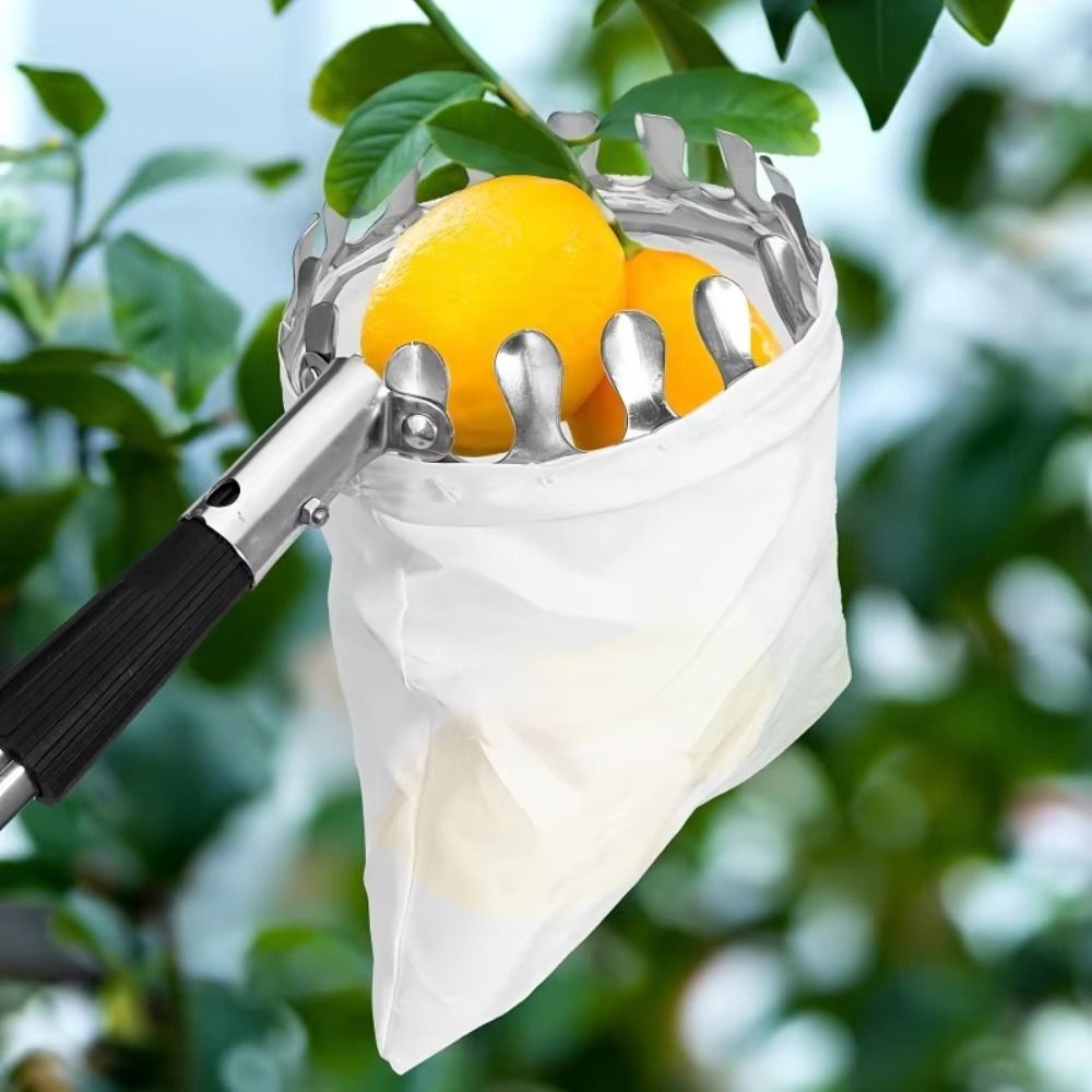 เครื่องเก็บผลไม้สแตนเลสแบบยืดห - Fruit Picker Basket Telescopic Pole บทวิจารณ์และราคา