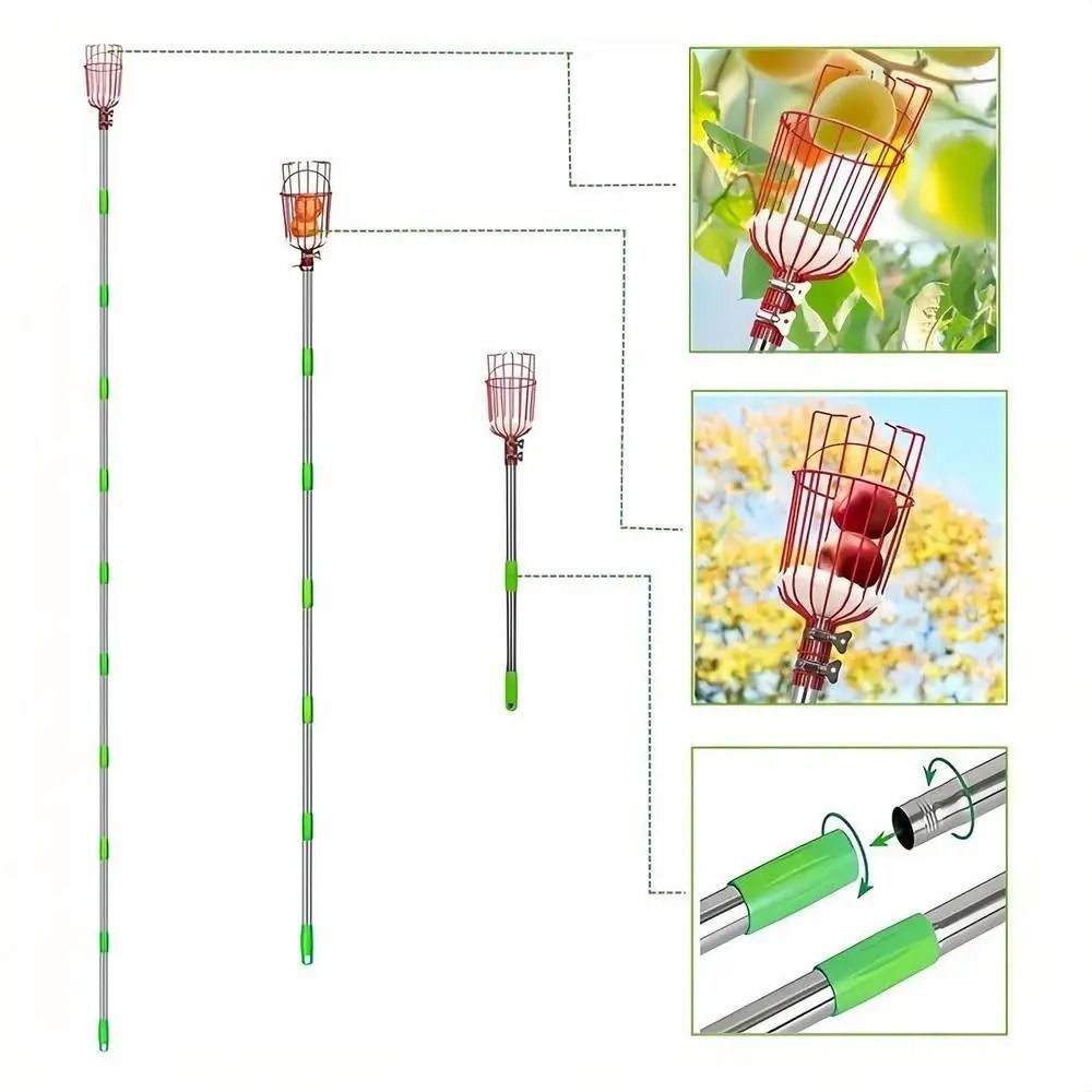 อุปกรณ์เก็บผลไม้แบบมีตะกร้า ด้ - Fruit Picker Basket Telescopic Pole บทวิจารณ์และราคา