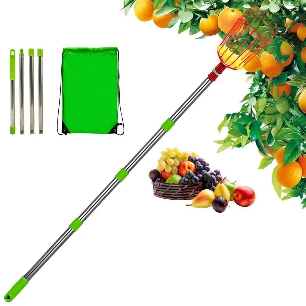 อุปกรณ์เก็บผลไม้แบบมีตะกร้า ด้ - Fruit Picker Basket Telescopic Pole บทวิจารณ์และราคา