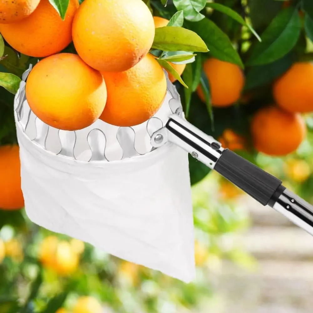 เครื่องเก็บผลไม้สแตนเลสสำหรับต - Fruit Picker Basket Telescopic Pole บทวิจารณ์และราคา