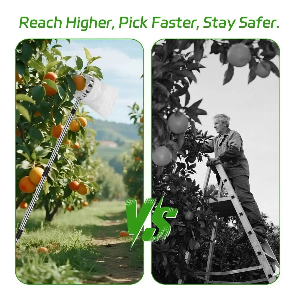 เครื่องเก็บผลไม้สแตนเลสสำหรับต - Fruit Picker Basket Telescopic Pole บทวิจารณ์และราคา
