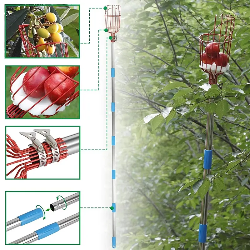 สำหรับ Winslow & Ross ตะกร้าเก - Fruit Picker Basket Telescopic Pole บทวิจารณ์และราคา