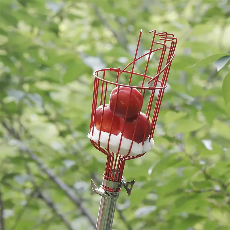 สำหรับ Winslow & Ross ตะกร้าเก - Fruit Picker Basket Telescopic Pole บทวิจารณ์และราคา
