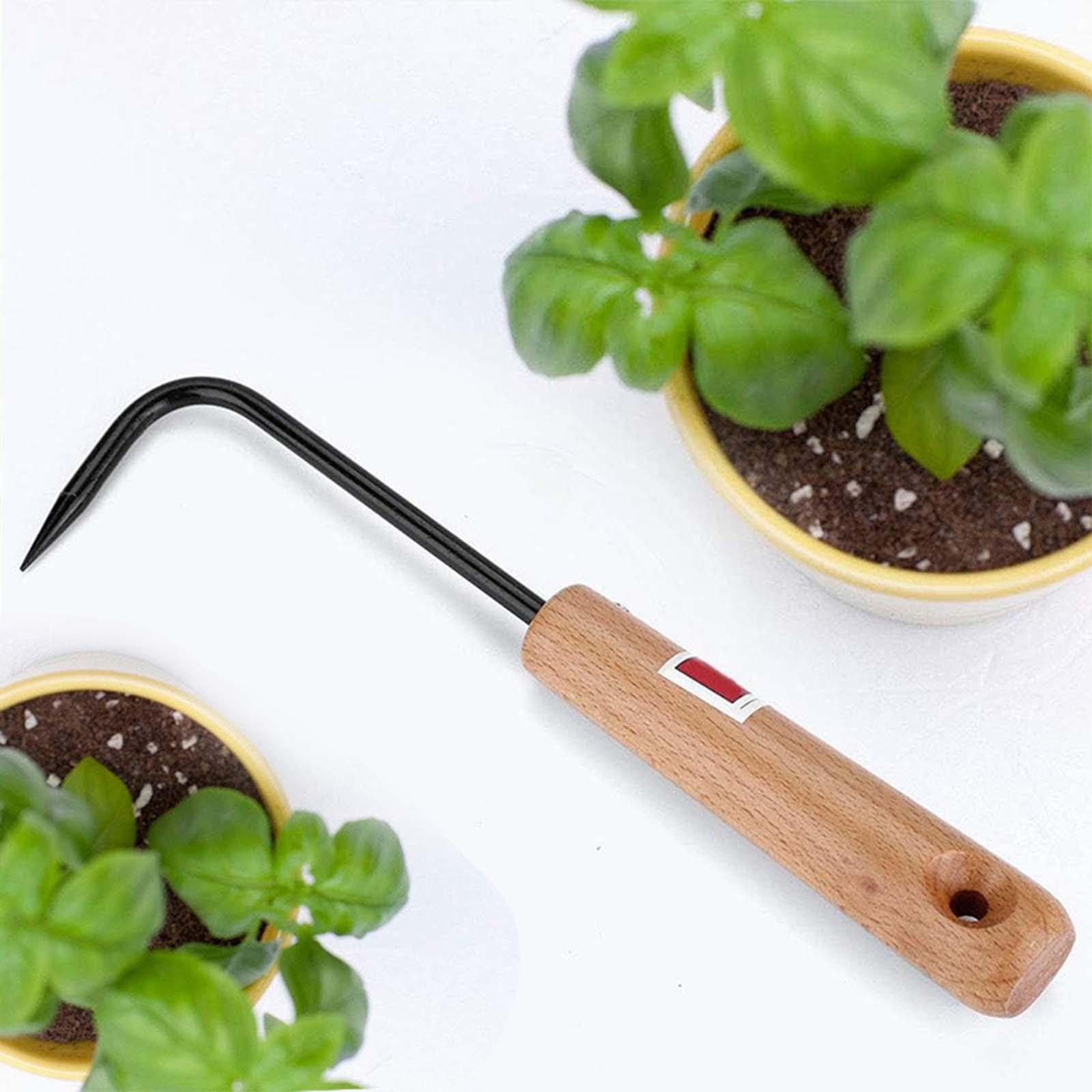 เครื่องมือทำสวนสำหรับบอนไซ ที่ - Root Hook Bonsai Repotting Rake บทวิจารณ์และราคา
