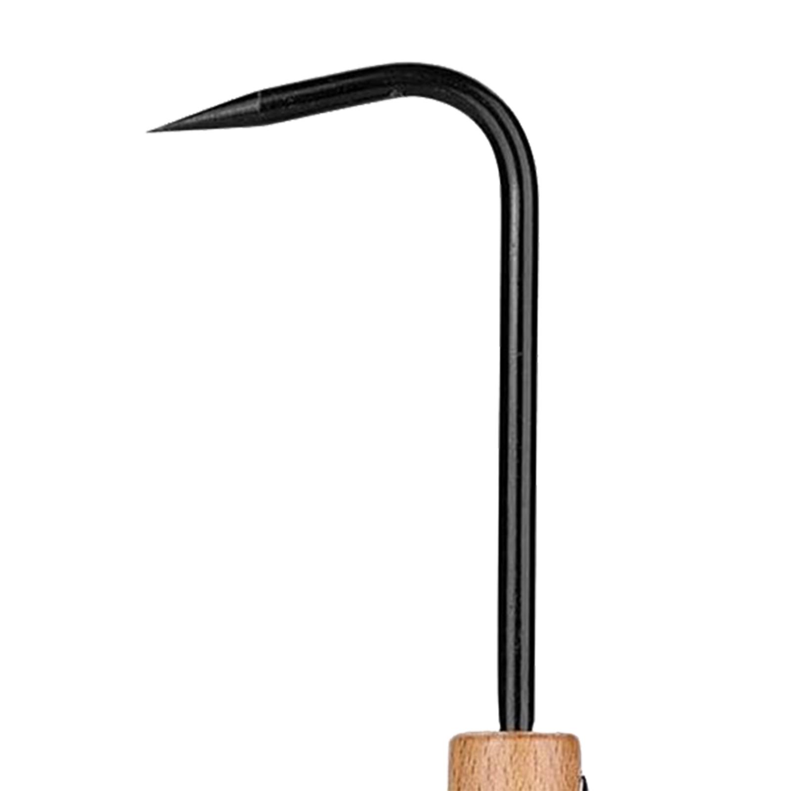 เครื่องมือทำสวนสำหรับบอนไซ ที่ - Root Hook Bonsai Repotting Rake บทวิจารณ์และราคา