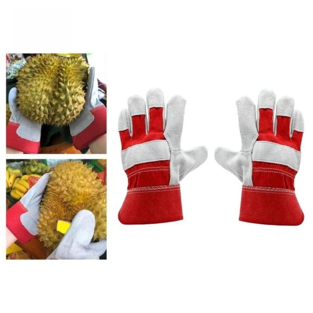 ถุงมือทำสวนหนังวัว ถุงมือเชื่อ - Gardening Gloves Thorn Proof Leather บทวิจารณ์และราคา