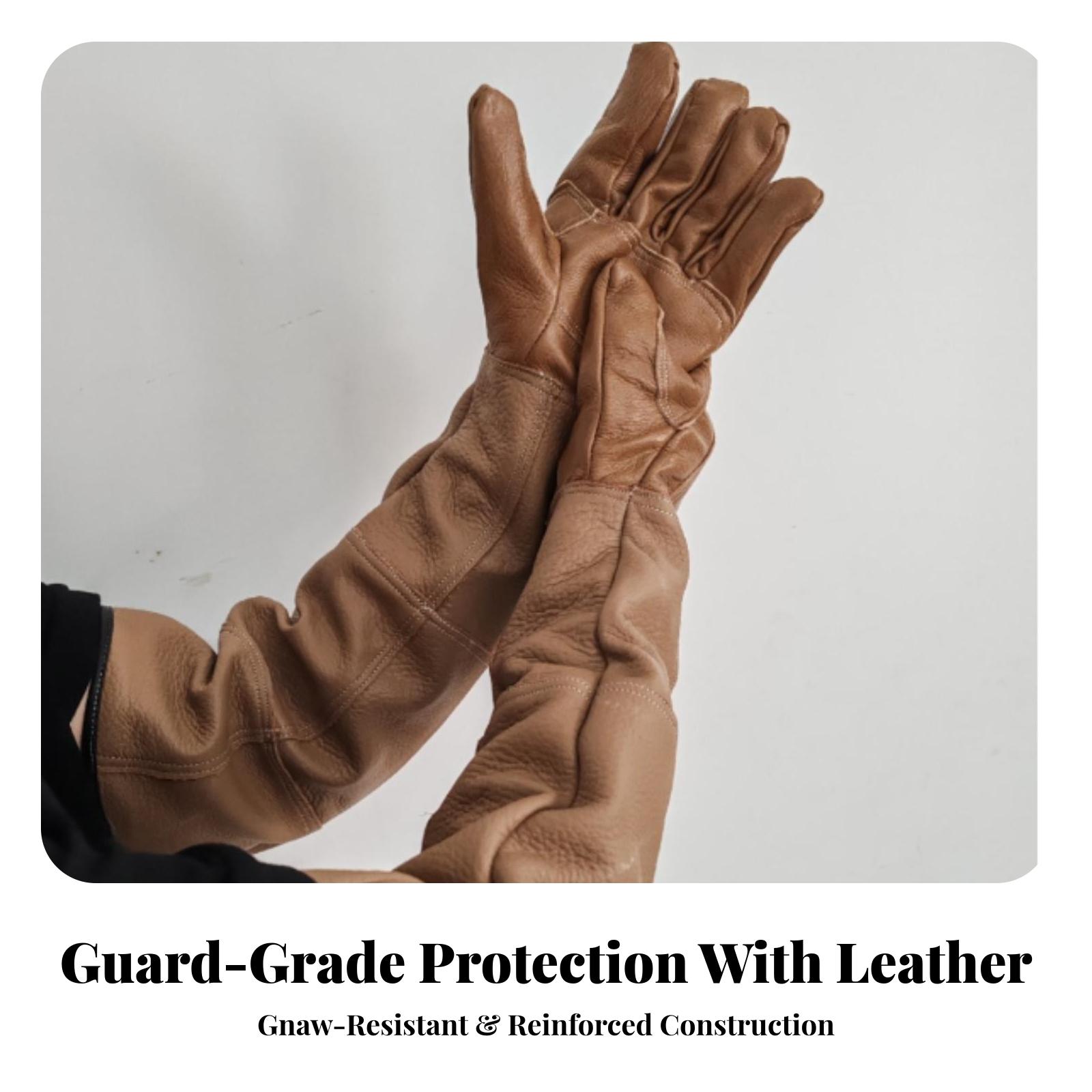 ถุงมือหนังวัวสำหรับงานหนัก แขน - Gardening Gloves Thorn Proof Leather บทวิจารณ์และราคา