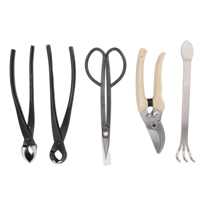 ชุดเครื่องมือบอนไซ 5 ชิ้น ทำจา - Bonsai Tool Set Stainless Carbon Steel บทวิจารณ์และราคา