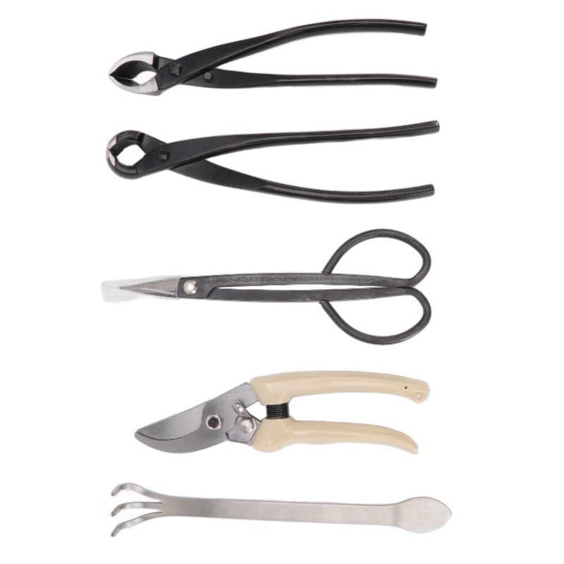 ชุดเครื่องมือบอนไซ 5 ชิ้น ทำจา - Bonsai Tool Set Stainless Carbon Steel บทวิจารณ์และราคา