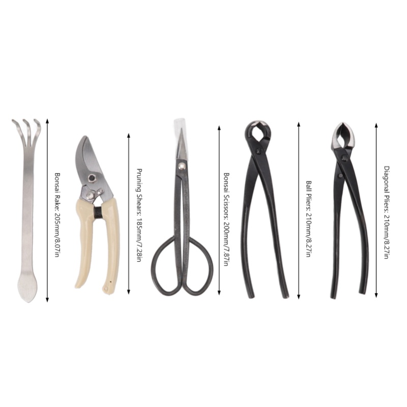 ชุดเครื่องมือบอนไซ 5 ชิ้น ทำจา - Bonsai Tool Set Stainless Carbon Steel บทวิจารณ์และราคา