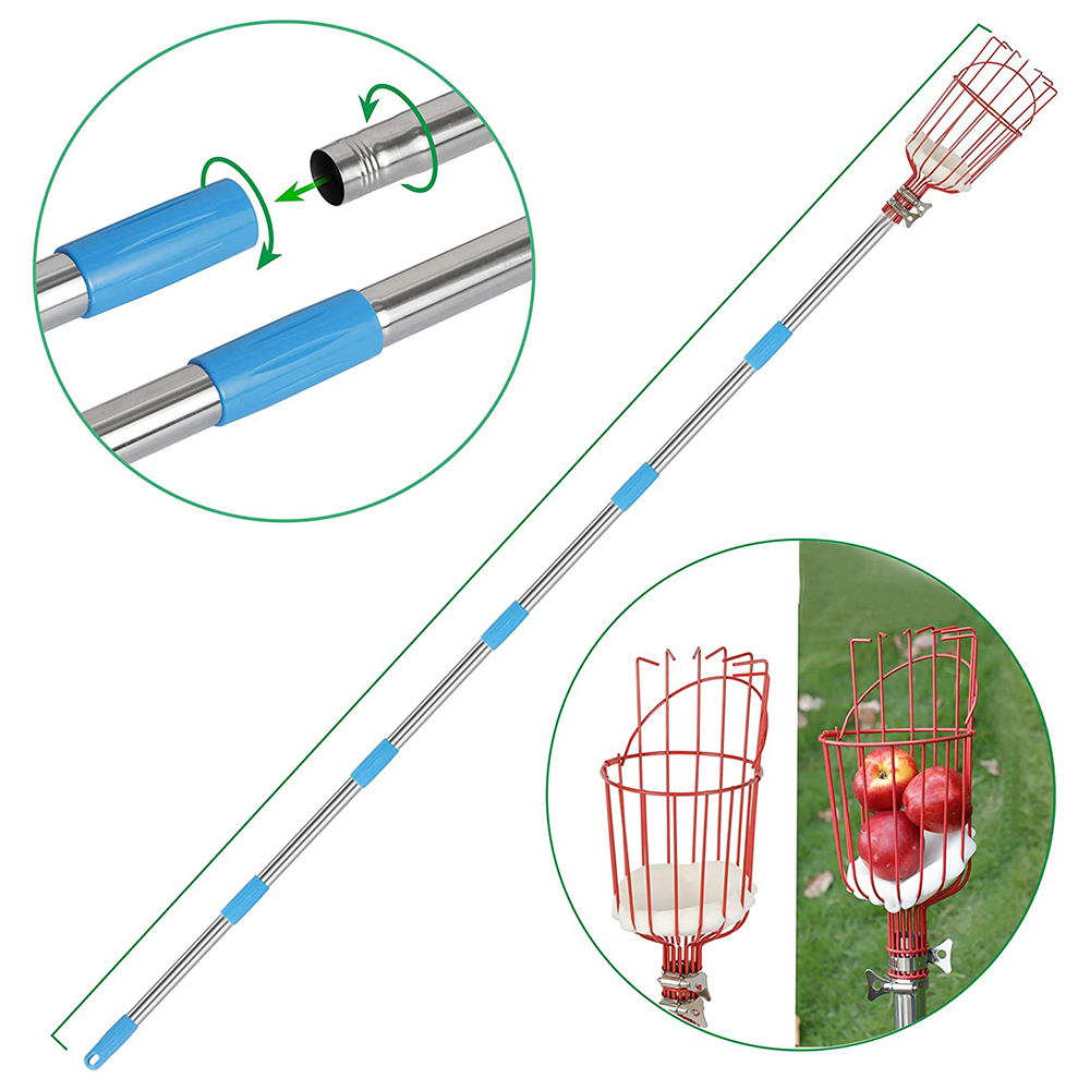 ไม้เก็บผลไม้แบบยืดหดได้พร้อมตะ - Fruit Picker Basket Telescopic Pole บทวิจารณ์และราคา