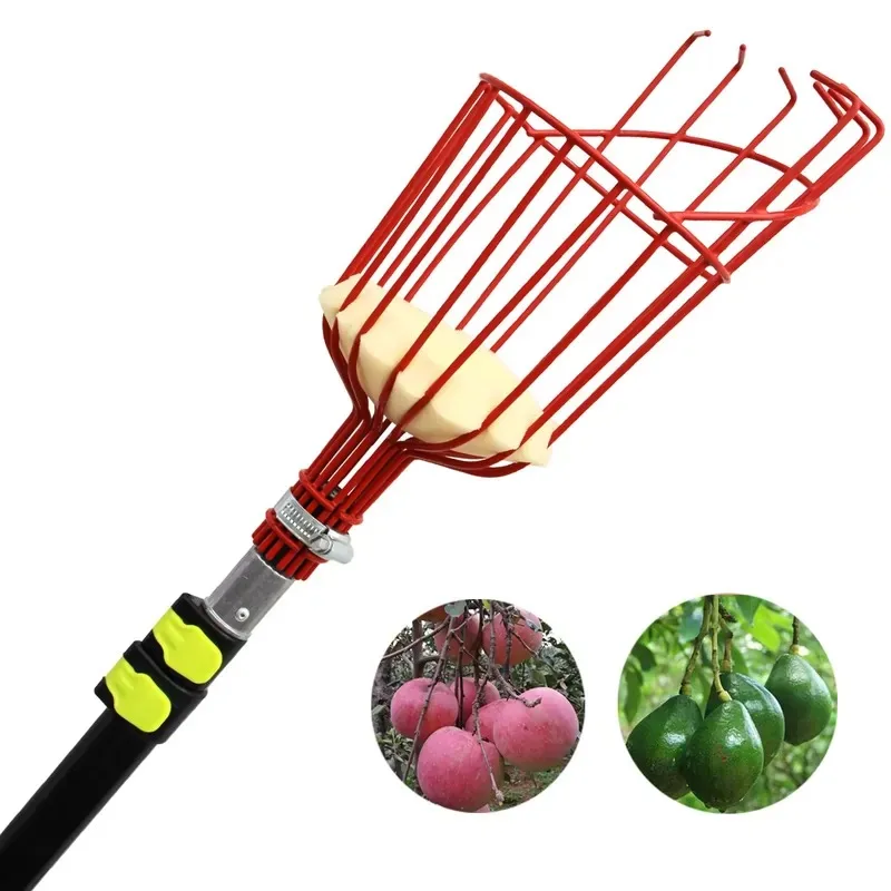 เสาเก็บผลไม้รุ่นล่าสุดปี 2026  - Fruit Picker Basket Telescopic Pole บทวิจารณ์และราคา