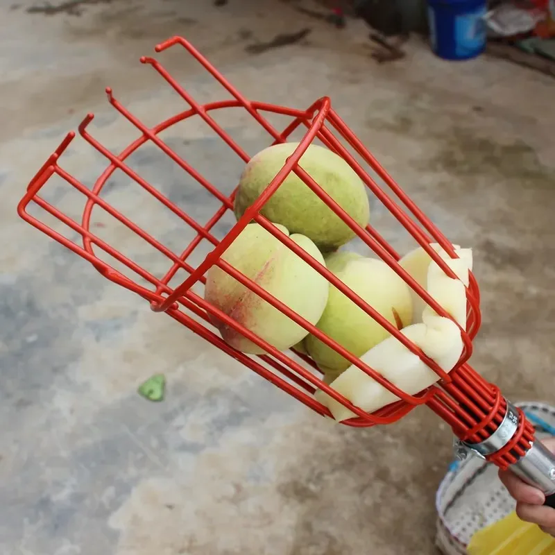 เสาเก็บผลไม้รุ่นล่าสุดปี 2026  - Fruit Picker Basket Telescopic Pole บทวิจารณ์และราคา
